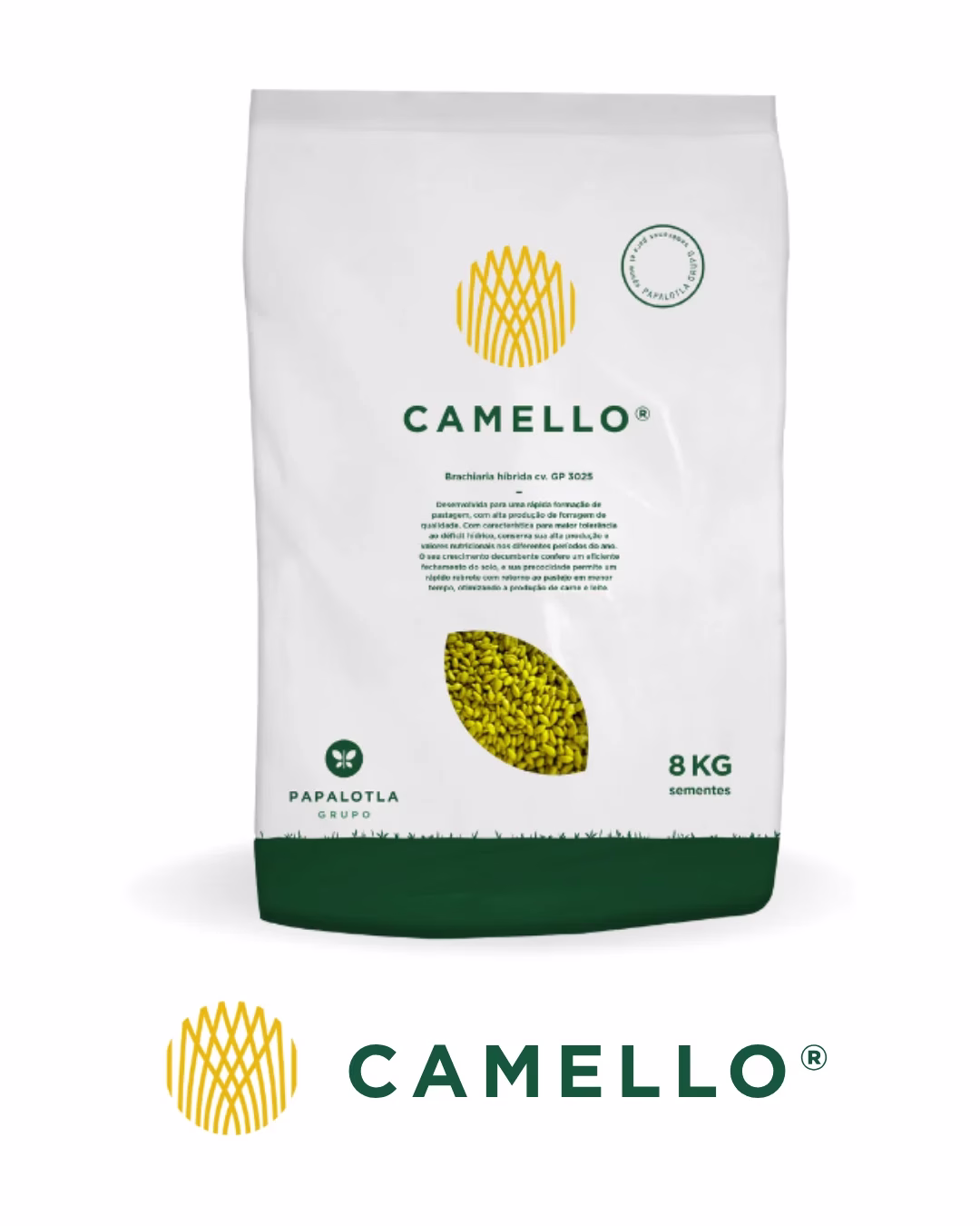 Camello