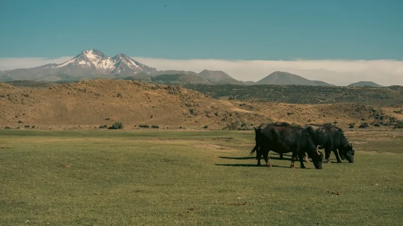 Uberlândia — MG